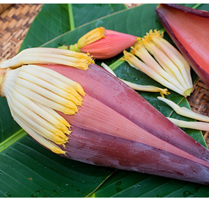Banana Flower/Leaves
